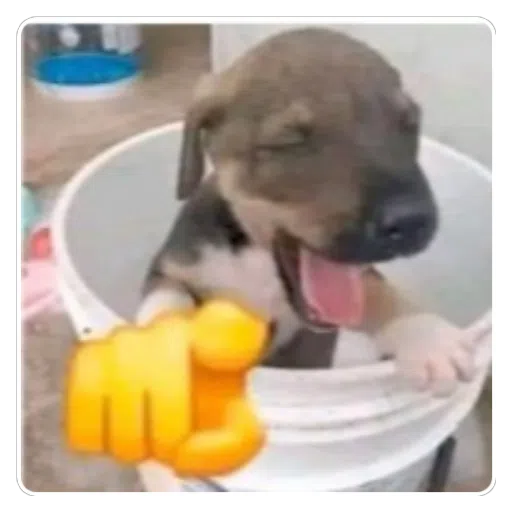 Figurinha: Cachorrinho fofo te chamando