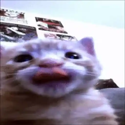 Figurinha: Gatinho Fazendo Carinha de Beijo