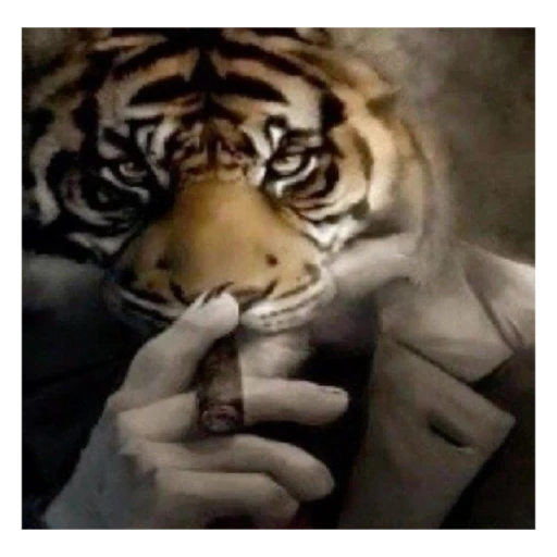 Figurinha: Tigre fumando charuto