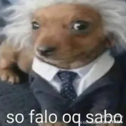 Figurinha: So falo o que sabo