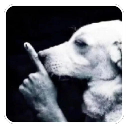 Figurinha: Cachorro pedindo silêncio