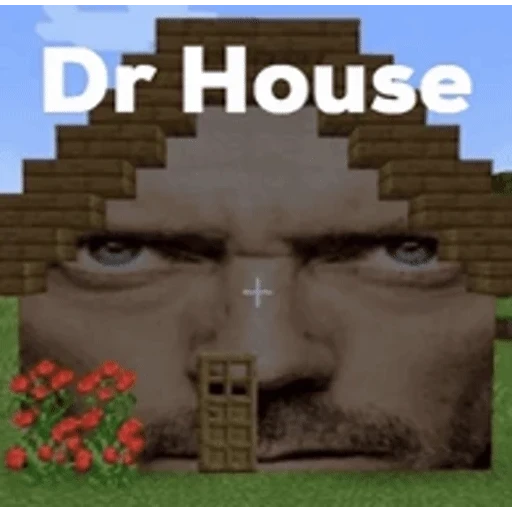 Figurinha: Dr House Casa Minecraft