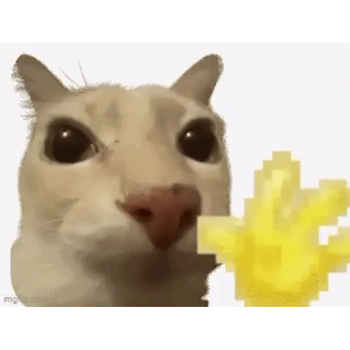 Figurinha: Gato acenando