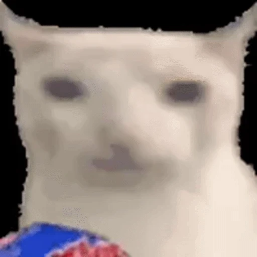 Figurinha: Gatinho Comendo Salgadinho