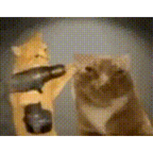Figurinha: Gatos dando tapas