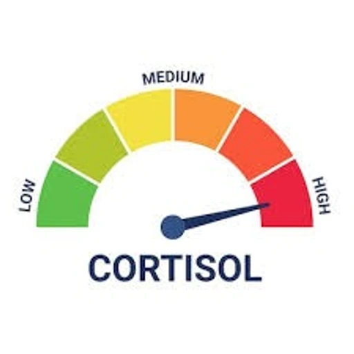 Figurinha: Cortisol Alto
