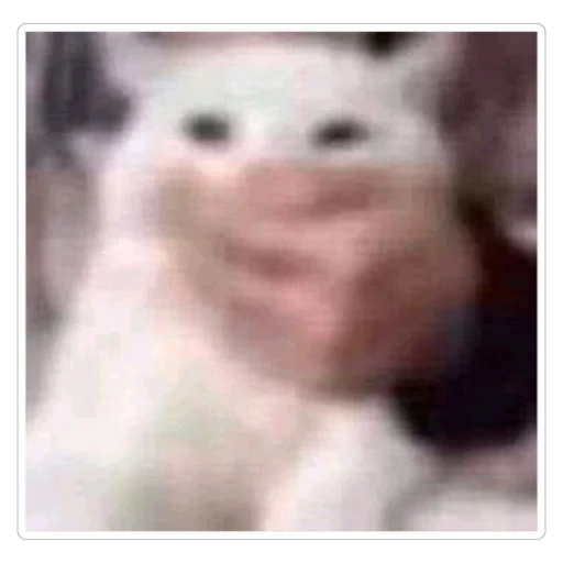 Figurinha: Gato sendo apertado