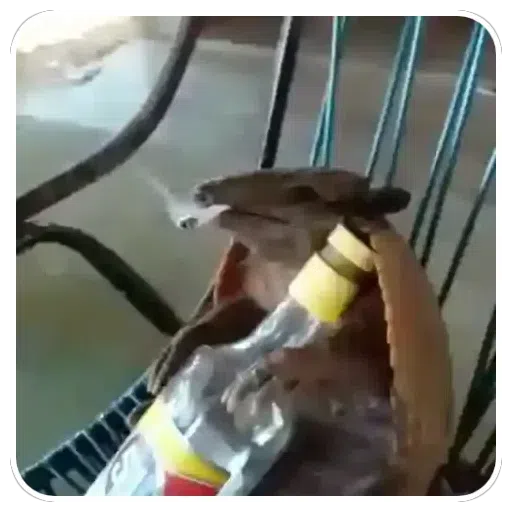 Sticker: Armadillo drinking and smoking