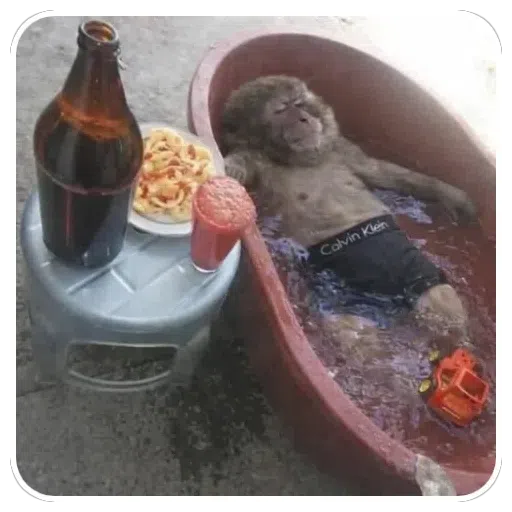 Sticker: Relaxing Monkey