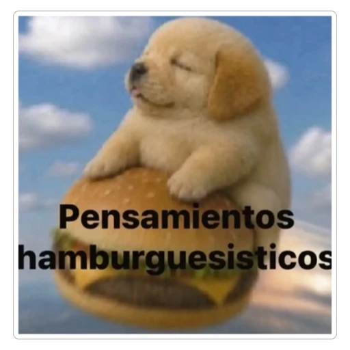 Figurinha: Pensamentos hamburguesísticos