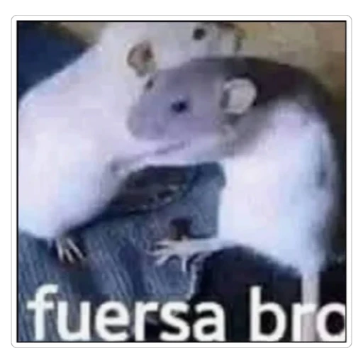 Figurinha: fuersa bro