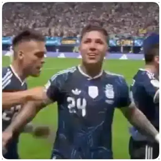 Sticker: Enzo Fernández celebrando