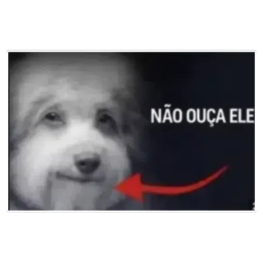 Figurinha: Não ouça ele