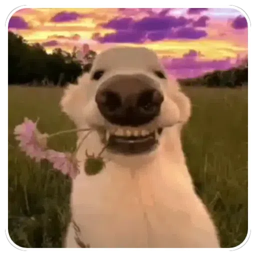 Figurinha: Cachorrinho fofo com flor
