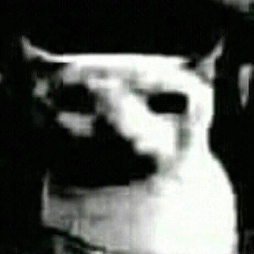 Sticker: Gato aterrador