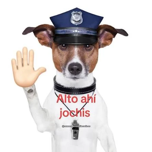 Figurinha: Alto aí jochis