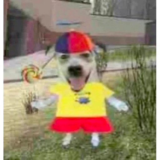 Figurinha: Cachorro Kiko