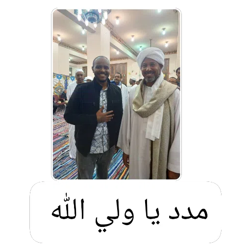 Sticker: Madad Ya Wali Allah