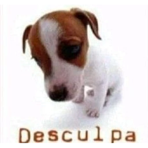 Figurinha: Desculpa