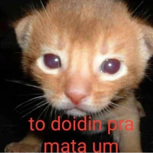 Figurinha: To doidin pra mata um