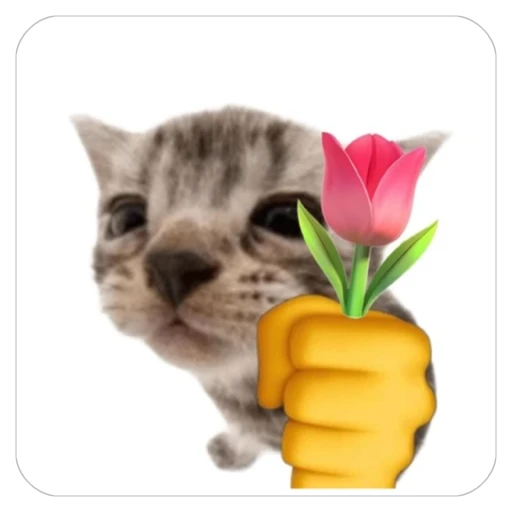 Sticker: Kitten with a Flower