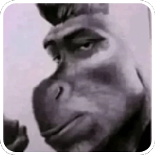 Figurinha: Chad Gorilla