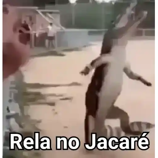 Figurinha: Rela no Jacaré