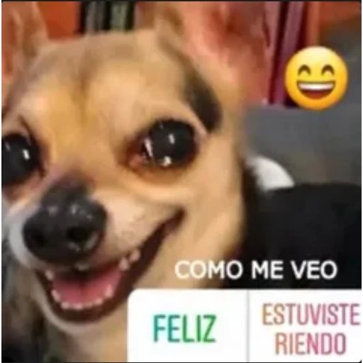 Figurinha: Cachorro Como Me Veo