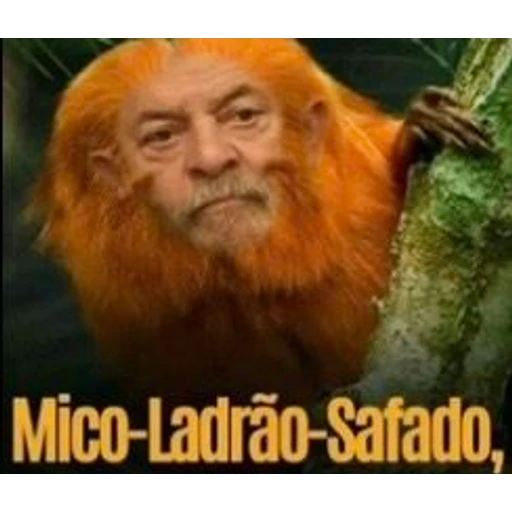 Figurinha: Mico-Ladrão-Safado