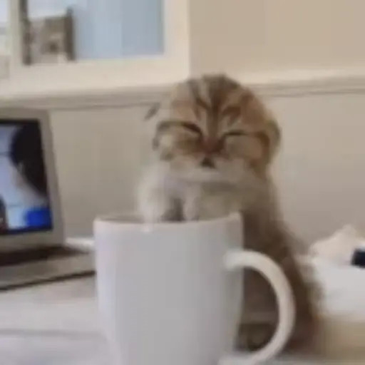 Sticker: Gatito con sueño en una taza