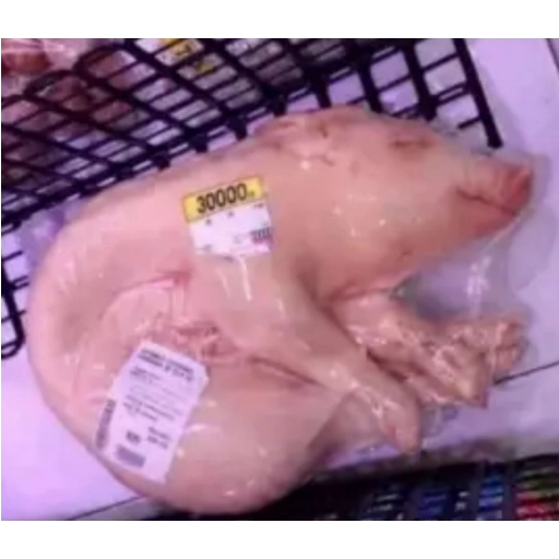 Sticker: Packaged piglet