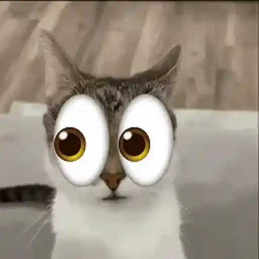 Figurinha: Gato Assustado com Olhos Gigantes