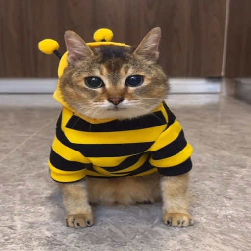 Sticker: Gatito Abeja