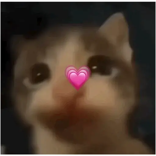 Sticker: Gatito con corazón