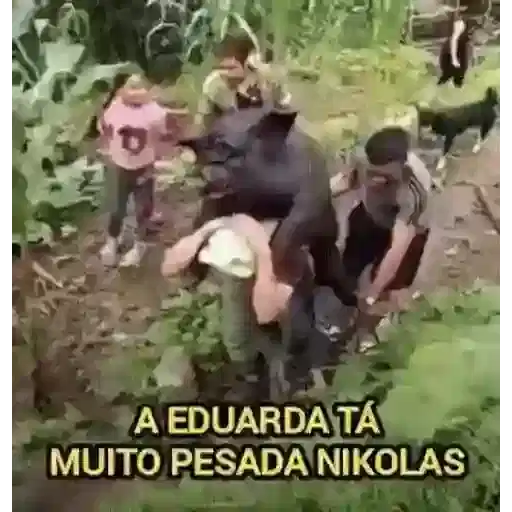 Figurinha: A Edyarda tá muito pesada Nikolas