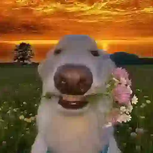 Sticker: Perro con flores
