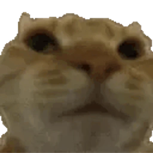 Figurinha: Gato Engordando