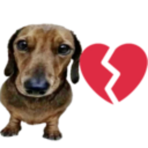 Figurinha: Cachorro com coração partido