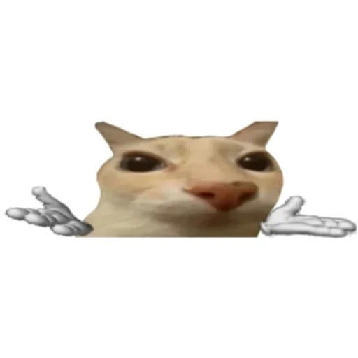 Sticker: Gato confundido