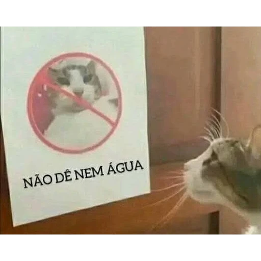 Sticker: Ni agua le des