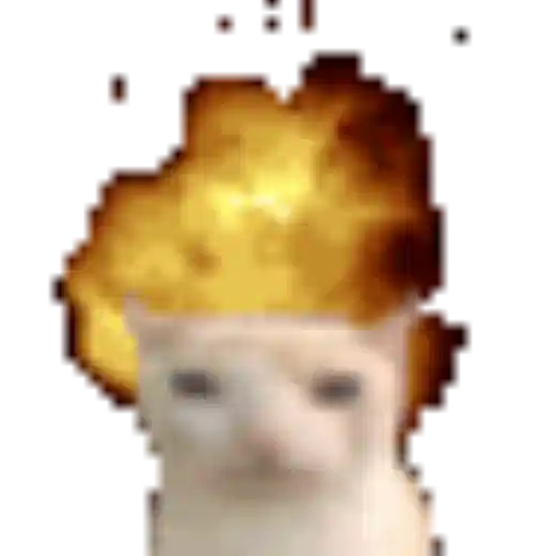 Sticker: Gato en llamas