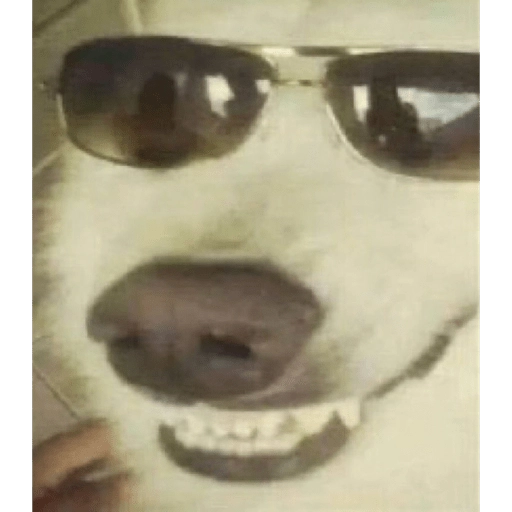 Sticker: Perro con gafas