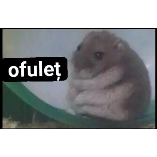 Sticker: Ofulet