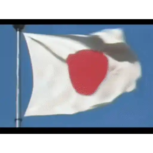 Sticker: Jets de la Fuerza Aérea Japonesa