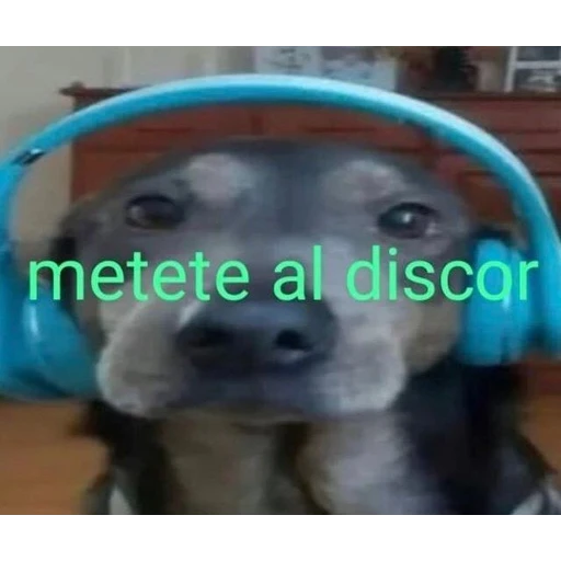Figurinha: metete al discor