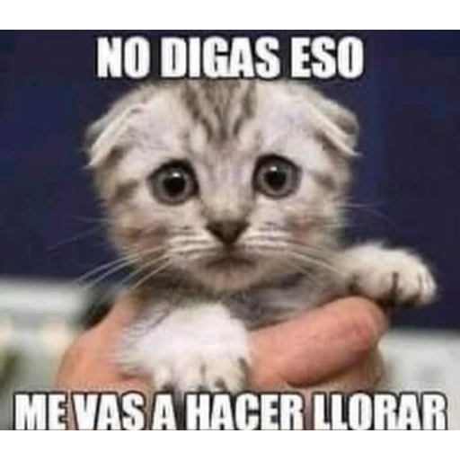 Figurinha: No digas eso