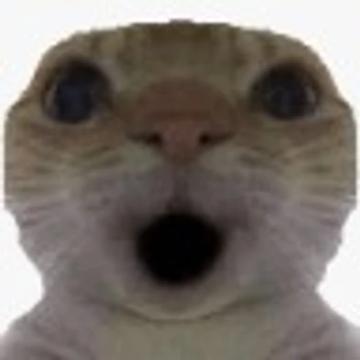 Figurinha: Gato Surpreso