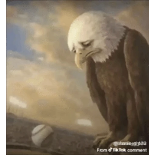 Sticker: Águila triste
