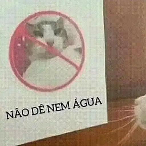 Sticker: Cat Says "No"