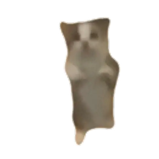 Sticker: Cat dancing to the beat